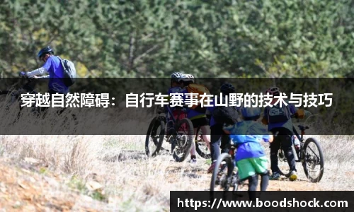 BB贝博艾弗森官方网站