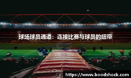 BB贝博艾弗森官方网站