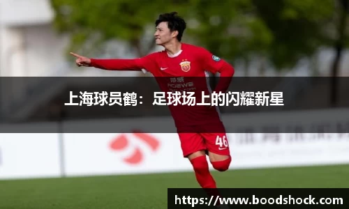 贝博·艾弗森官网入口